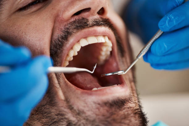 Professional Holistic Dental Care Services in South Wenatchee, WA